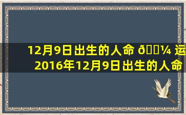 12月9日出生的人命 🌼 运,2016年12月9日出生的人命 🦁 运